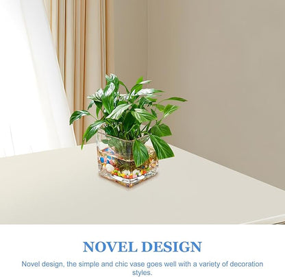 Healifty Clear Square Glass Vase Thick Transparent Cube Hydroponic Planter Modern Decorative Flower Container for Home Table Centerpiece