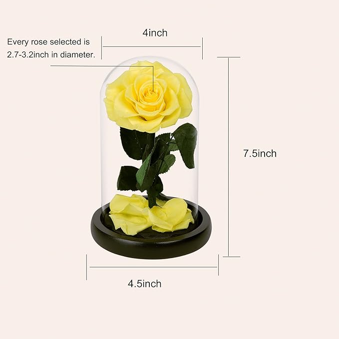 NATROSES Handmade Preserved Roses in Glass Dome, Yellow Roses, Preserved Flowers Gifts for Women, Mothers Day Flowers