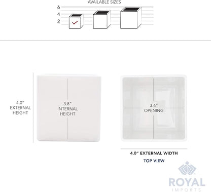 Royal Imports Flower Acrylic Vases Cubes - Decorative Centerpiece for Home or Wedding - Non Breakable Plastic, 4" - White