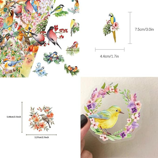 50PCS Watercolor Bird & Flower Stickers, PET Transparent Waterproof Decals for Scrapbooking, Journal Planners, Phone Cases, Laptops, DIY Crafts Decorations - Nature Theme Art Supplies
