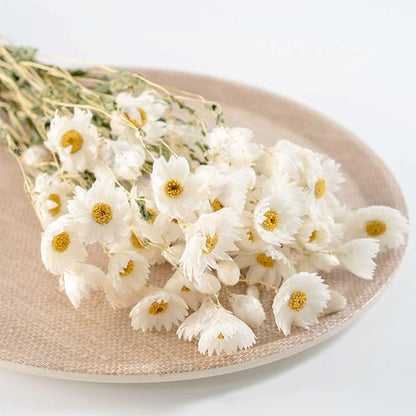 Dried Daisy Flowers Bouquet, 150+ Dry White Flowers, Artificial Sunflowers, 17'' Natural Gerber Daisies Arrangements for Farmhouse Vase Decor, Wedding, DIY Home Office Party Decoration