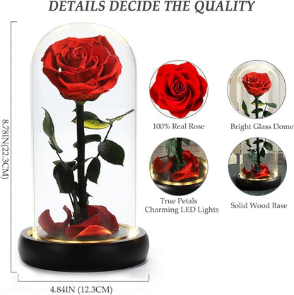 Christmas Flower Gifts for Women,Mom Gifts,Beauty and The Beast Rose in Glass Dome,Preserved Rose with Lights,Flower for Delivery Prime,Forever Flowers Birthday Gifts for Women Mom Wife Girlfriend