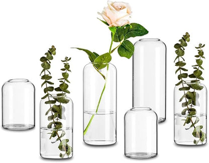 Glasseam Clear Glass Bud Vase, Set of 6 Modern Cylinder for Centerpieces, Blown Craft Aesthetic Decorative Small Flower Vases Bulk for Flowers Rose Tulip Pampas Grass
