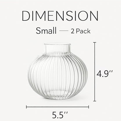 Round Glass Vases, Set of 2 Small Vases for Flowers, Clear Glass Vase for Tulips, Modern Vase for Living Room, Office, Coffee Table, Shelf, Wedding, 5 Inches