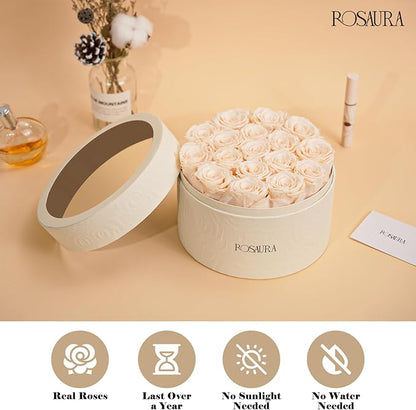 Rosaura Round Preserved Roses Gift Box - Real Forever Flowers for Birthday, Valentine's & Mother's Day (Champagne, 17 Roses)