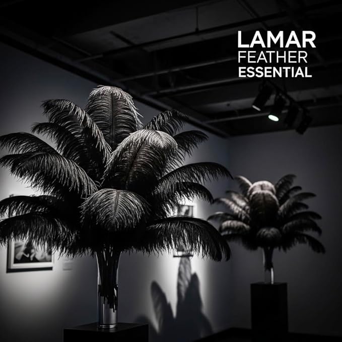 Lamar 100 Pcs Black Ostrich Feathers 14-16'' 12-14'' 10-12'' 8-10'' Bulk for Wedding Centerpieces, Event Decor, Floral Arrangement, Home Decor (Black)
