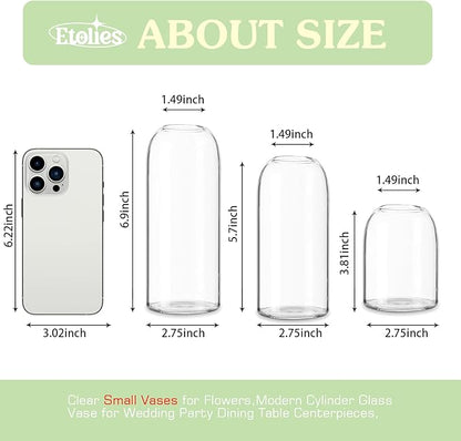 Etolies Glass Bud Vases in Bulk Set of 12, Clear Small Vases for Flowers,Modern Cylinder Glass Vase for Wedding Party Dining Table Centerpieces, Living Room Decorative, Home Decor.