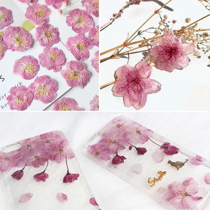51 Pcs Real Natural Cherry Blossom Dried Pressed Flowers - Delicate Pink Florals for Resin Jewelry, Candle Making, Frame Decor & DIY Craft Projects
