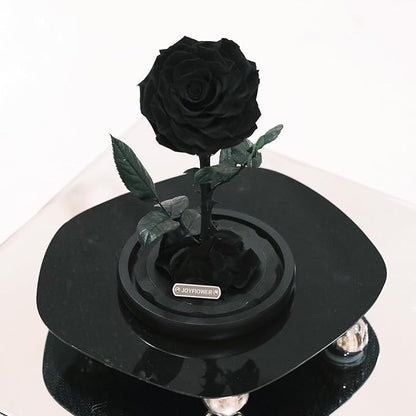 JoyFlower Single Rose Real Rose Flower Gifts for Mom from Daughter Son, Birthday Gifts for Women, Eternal Rose Preserved Flowers for Delivery Prime for Christmas Valentine's Mothers Day(Black)
