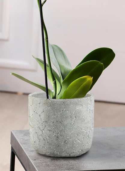 Serene Spaces Living CrackleStone Rustic Cement Vase, Decorative Planter with Cracked Texture, Perfect for Succulents, Small Plants, or Floral Arrangements, 7" Diameter & 6" Tall, Pack of 6