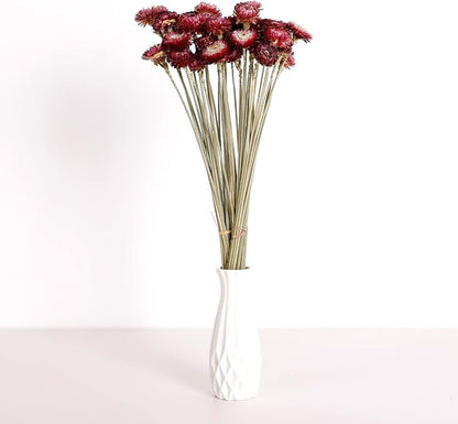 Dried Flower 40PCS Daisy Bouquet 100% Natural Chrysanthemum Dry Flower with Stem for Vase Home décor Party DIY Arrangement Wheat Straw Bulk (Burgundy)