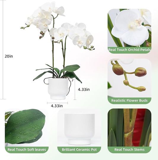 CXGS Orchids Artificial Flowers Real Touch Fake Flowers in Ceramic Pot 20" White Faux Orchid Plant Lifelike Silk Phalaenopsis for Centerpiece Hotel Home Indoor Decor