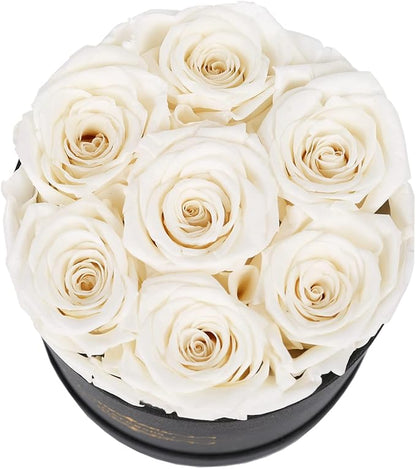 NATROSES 7 Piece Preserved Roses in a Box, Preserved Flowers for Birthday, Flower Gifts for Mothers Day (White)