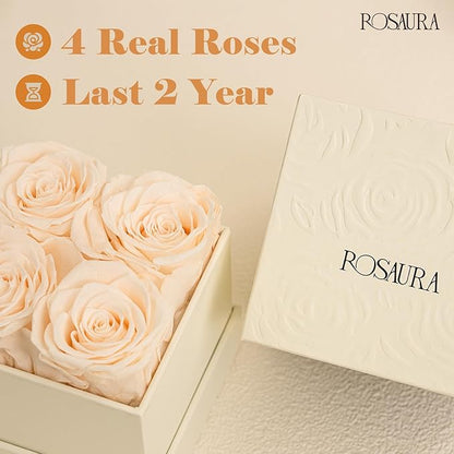 Rosaura 4-Piece Eternal Preserved Roses & Flowers Gift Box - Forever Lasting Real Roses, Preserved Flowers for Valentine's Day (Champagne)