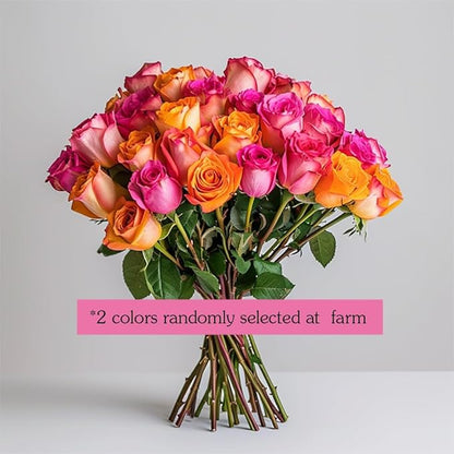 GlobalRose 50 Fresh Cut Assorted Roses Bouquet - Responsibly Sourced Roses Fresh Flowers - Flowers Fresh Bouquet for Wedding, Anniversary, Birthday & Special Occasions (2 Bunches of 25 Stems)