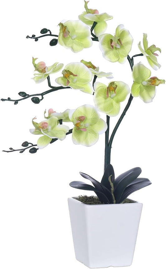 15" Tall Artificial Silk Phalaenopsis Orchid Flower Plant Pot Arrangements (Apple Green)