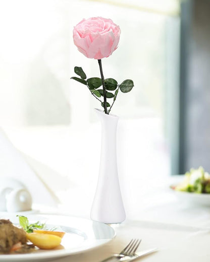 Pink Flowers for Delivery Prime, Preserved Pink Roses Flower Gifts for Women, Real Roses Single Rose Gifts for Her, Mom Birthday Gifts from Daughter, Valentines Flowers