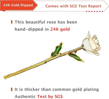 AliveRose Gold White Rose,24k Gold Real Rose Gift for her, Long Stem Rose Made from Real Gold Rose for Anniversary Valentines Mothers Day Birthday (Pearl White with Crystal Vase)