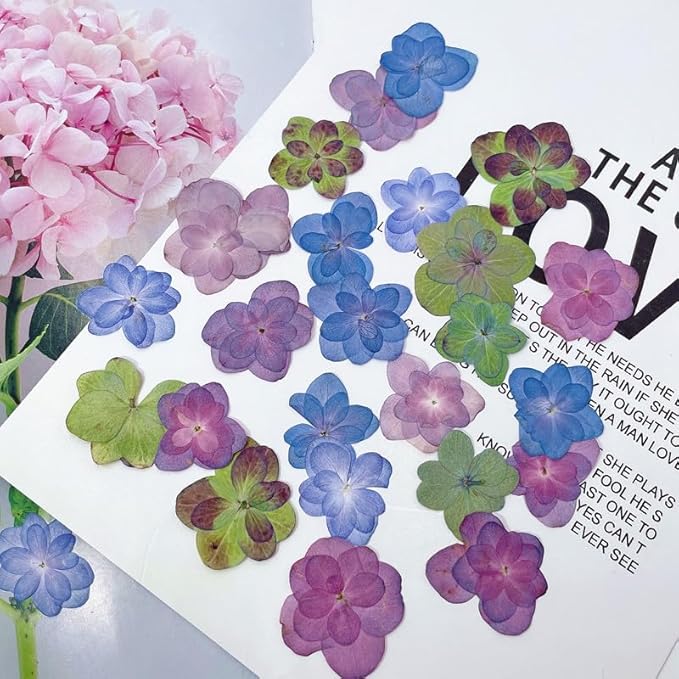 50 Pcs Mixed Hydrangea Dried Pressed Flowers for Crafts,Real Nature Dry Flower Bulk for Resin Jewelry Making Candle Making Frame Decoration Art Floral Decors