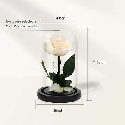 NATROSES Handmade Preserved Roses in Glass Dome, White Roses, Preserved Flowers Gifts for Women, Mothers Day Flowers
