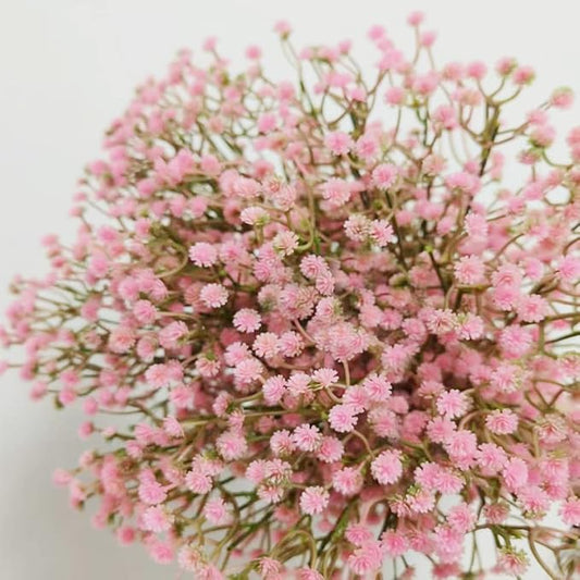Bringsine Baby Breath Gypsophila Deco Pink Colour Artificial Flowers for Wedding 30 Pieces/lot