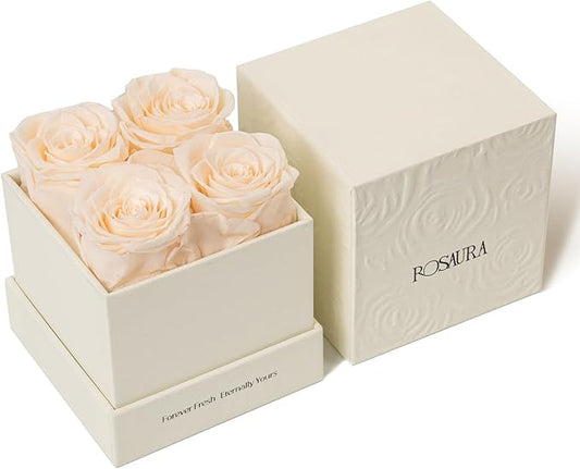 Rosaura 4-Piece Eternal Preserved Roses & Flowers Gift Box - Forever Lasting Real Roses, Preserved Flowers for Valentine's Day (Champagne)