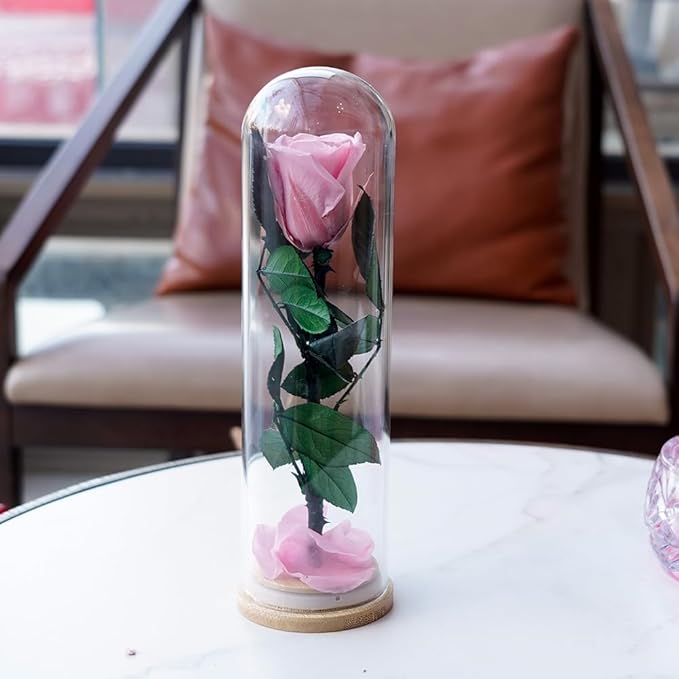 9.8 inches Preserved Rose in Glass Dome Rose with Green Leaves Eternal Love and Natural Beauty for Grandma Mom Girlfriend Classmate Friend Lover (Pink)