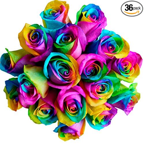 Fresh Rainbow Roses Bouquet by Flower Explosion - 36 Premium Stems