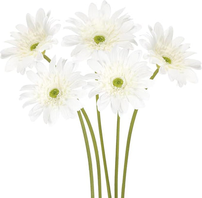 White Gerbera Daisy Artificial Flowers 5PCS – Real Touch Latex Silk Daisies Flowers Artificial, 26.7" Long Stem Fake Flowers with Stems for Wedding Bouquets, Home Décor, or Daisy Centerpieces