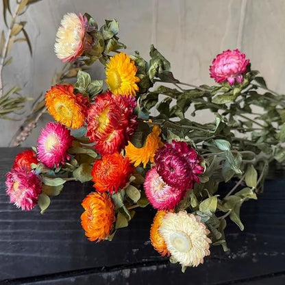12Pcs Natural Dried Daisy Flowers Stems - Real Natural Dried Flowers Bouquet for Vase, Farmhouse Rustic Wedding Home Decor, DIY Handmade Dry Flower Arrangement, Gardening, Gift, Multi-Colored