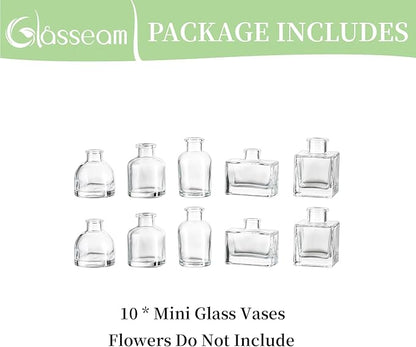 Glasseam Mini Glass Bud Vases: Small Clear Vases for Centerpieces Cute Tiny Flower Vase Set of 10 for Flowers Modern Centerpiece Decor for Wedding Party Dining Room Decoration