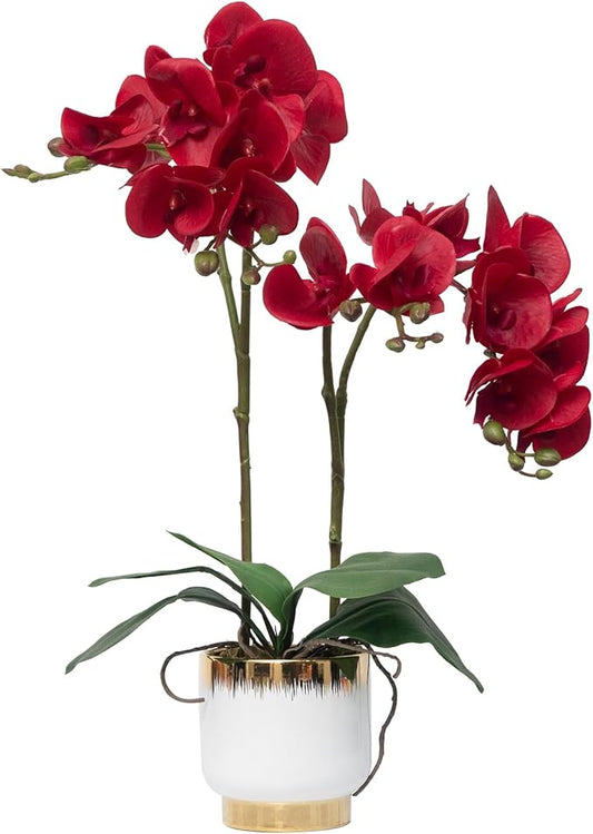 CXGS Orchids Artificial Flowers Real Touch Fake Flowers in Ceramic Pot 20" Red Faux Orchid Plant Lifelike Silk Phalaenopsis for Centerpiece Hotel Home Indoor Decor