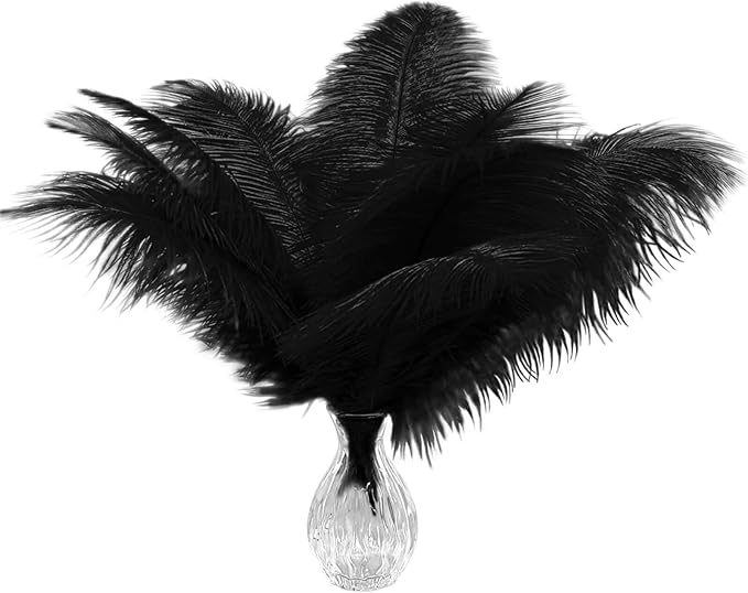 Piokio 20 pcs Natural Black Ostrich Feathers 6-8 inch(15-20 cm) Bulk for DIY Clothes, Feather Pens, Dream Catcher, Gatsby Decorations