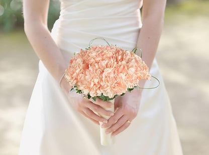 Champagne Carnations Artificial Flowers 15PCS 21.25in Carnations Silk Flowers for Wedding Home Table Centerpieces Floral Arrangements Decor(Champagne)