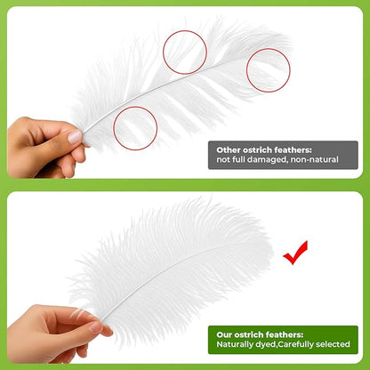 Piokio 20 pcs Natural White Natural Ostrich Feathers Plumes 8-10 inch(20-25 cm) Bulk for DIY Clothes, Feather Pens, Dream Catcher, Gatsby Decorations