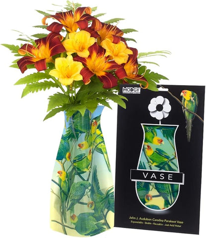 MODGY Expandable Flower Vase Plastic Decorative Modern Vases for Flowers Centerpieces Dining Table Decor Living Room Bathroom Wedding Office, Audubon Parakeets