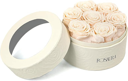 Rosaura Round Preserved Roses Gift Box - Real Forever Flowers for Birthday, Valentine's & Mother's Day (Champagne, 7 Roses)