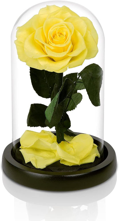 NATROSES Handmade Preserved Roses in Glass Dome, Yellow Roses, Preserved Flowers Gifts for Women, Mothers Day Flowers