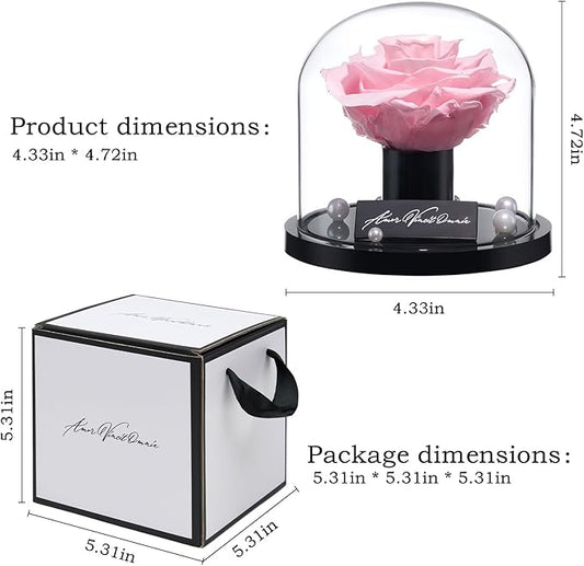 Preserved Roses,Forever Fresh Flowers 4.72in,Gift for Women,Mom,Grandma,Wife,Girlfriend,Sister,and Daughter Perfect for Birthday,Mother’s Day,Valentine’s Day (Soft Blossom5)