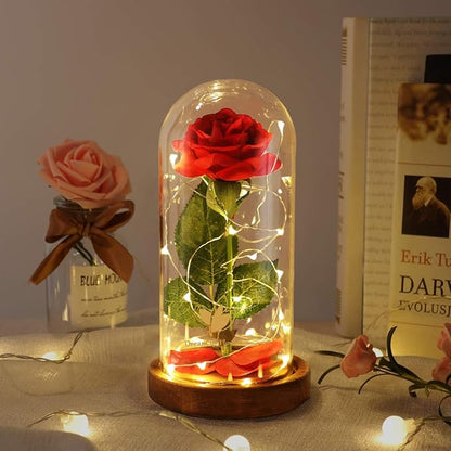 Christmas Beauty and The Beast Rose Gifts for Women, Birthday Gifts for Her, Red Rose Gifts for Mom Wife Grandma, Eternal Rose in Glass Dome with LED Lights, Women's Gift