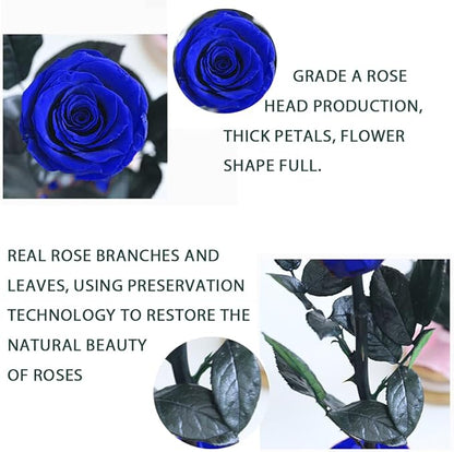 9.8 inches Preserved Rose in Glass Dome Rose with Green Leaves Eternal Love and Natural Beauty for Grandma Mom Girlfriend Classmate Friend Lover (Royal Blue)