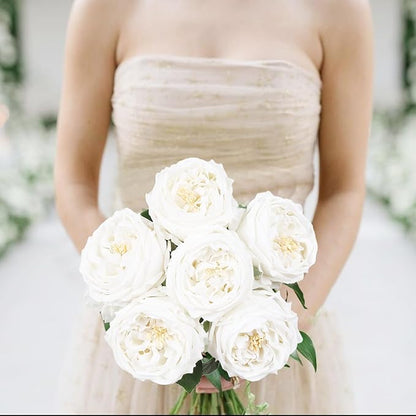 IPOPU White Roses Artificial Flowers,5PCS Real Touch Austin Roses Faux Peony Flowers Stems for Wedding Bouquet Party Home Decor(White)