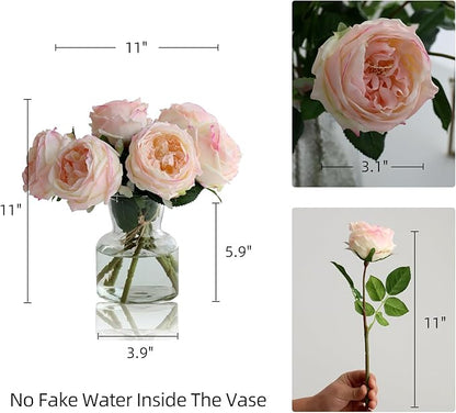 6Pcs Fake Austin Rose Peonies Flowers with Vase, Clear Glass Vase with Pink Real Touch Peonies Artificial Flowers Home Decor(Pink)