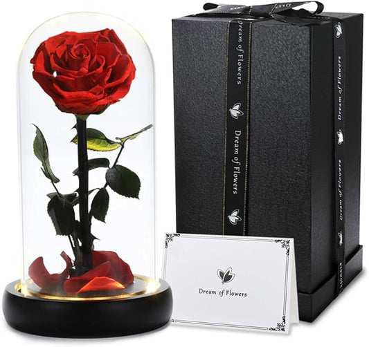 Christmas Unique Gifts for Her,Christmas Flowers for Delivery Prime,Beauty and The Beast Rose in Glass Dome,Birthday Gifts for Women Her Mom Wife Girl Grandma on Thanksgiving Anniversary Valentines