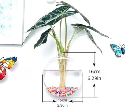 Wall-Mounted Acrylic Planter for Hydroponic Plants – Round Disc Vase Small, Modern Transparent Design for Home & Office Decoration