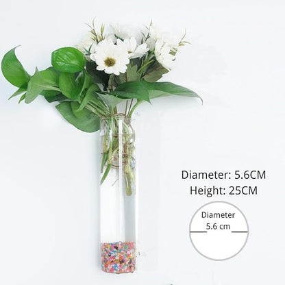 Wall-Mounted Acrylic Planter for Hydroponic Plants – Pipe Vase, Modern Transparent Design for Home & Office Decoration