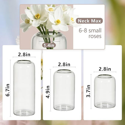 Glass Bud Vases Set of 48 Clear Flower Vase for Centerpieces Shelf, 3.9'' 4.9'' 6.7'' Modern Small Vases for Living Room Bedroom Office Home, Decor for Wedding House Warming Party