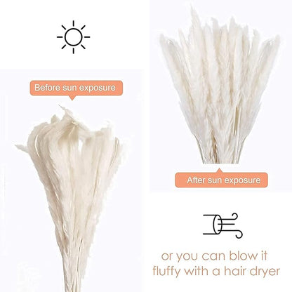 60 Pcs White Pampas Grass ,17 inch/45 cm Natural Dried Pampas Grass Branches Decor for Home Kitchen Garden Party Photographing Flower Arrangement Vase Decor（White