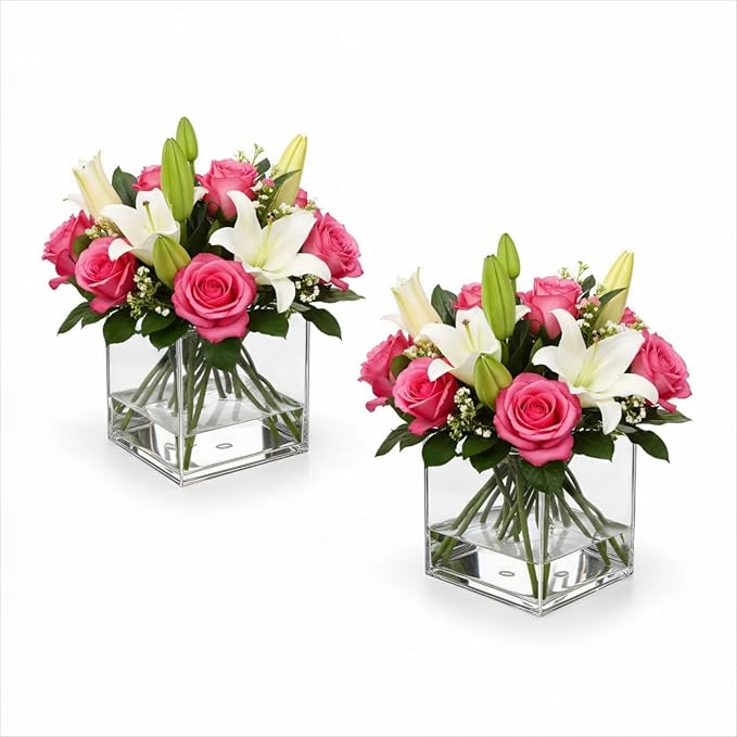 2 Pack Clear Acrylic Square Cube Flower Vase 6x6x6 Inches - Break Resistant Decorative Vase for Wedding Centerpieces, Home Office Party Decor & Succulent Planters