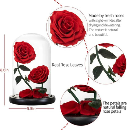 Gifts for Women Forever Preserved Red Rose,Birthday Valentines Day Gift with Red Eternal Flower in Glass Dome,Gifts for Valentine's Day Mothers Day Christmas Anniversary Birthday (#red)